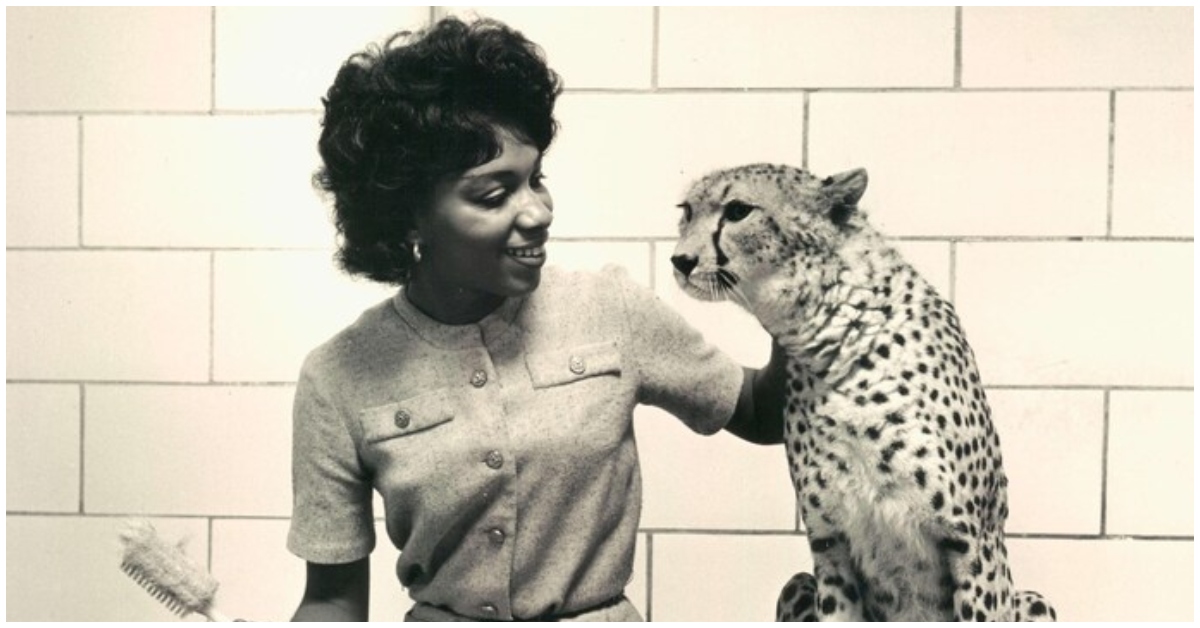 Why Maryland Zoo Established A Paid Internship In Honor Of Its First Black Female Zookeeper