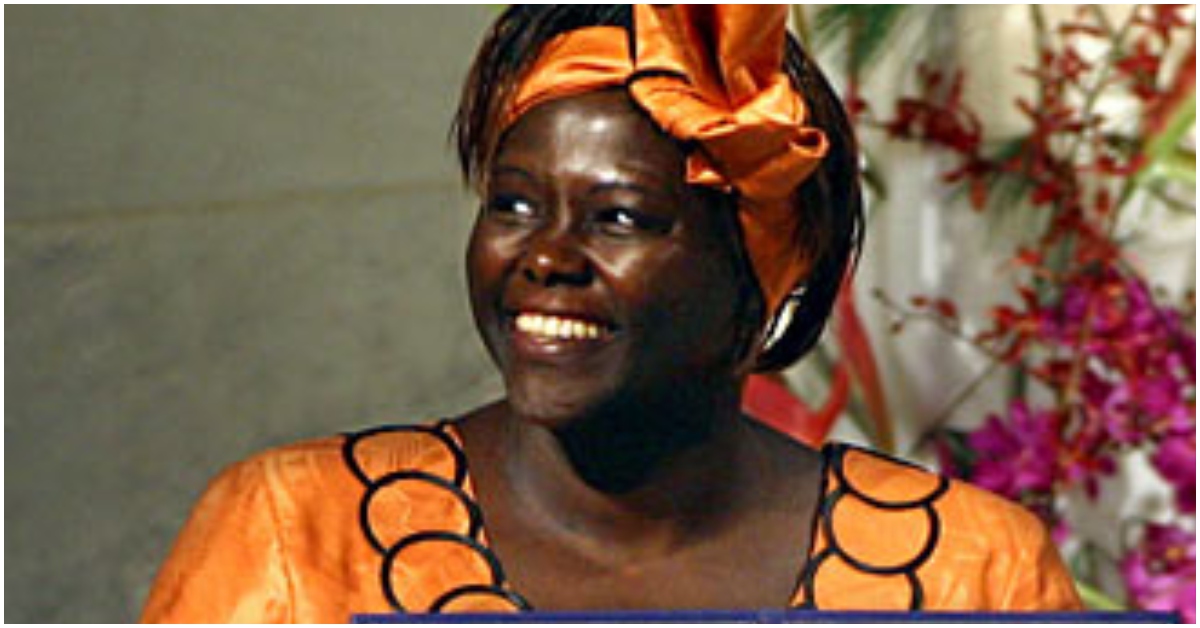 How Wangari Maathai Made History: First Black African Woman Awarded 2004 Nobel Peace Prize