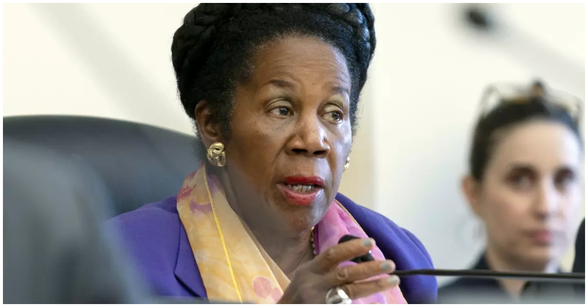 Rep. Sheila Jackson Lee, Pioneering Democrat and First Black Female Mayoral Candidate of Houston, Pursues 16th Term Amid Health Challenge