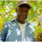 Franklin Hutchinson Builds Japan’s First Black-Owned Grape Farm in Yamanashi