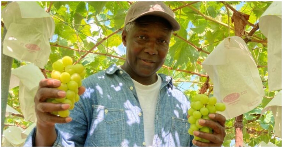 Franklin Hutchinson Builds Japan’s First Black-Owned Grape Farm in Yamanashi