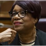 Pat Dowell Chicago Finance Chair